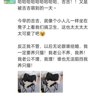 公司的小猫们img_20250731_113309.jpg