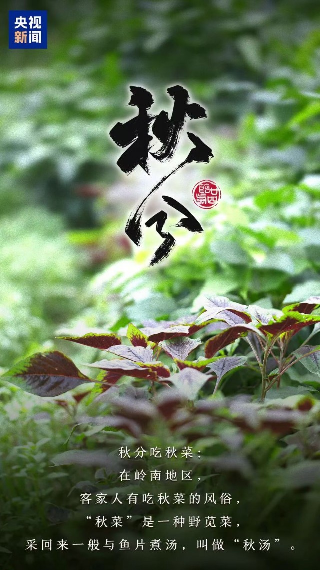 胡楚琪2025年的早安朋友圈合集mmexport1759041868117.jpg