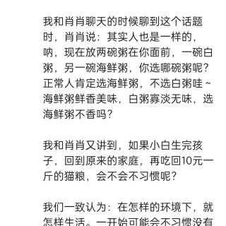 公司的小猫们img_20250731_174303.jpg