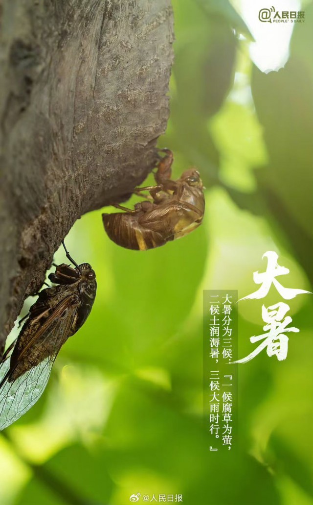 胡楚琪2025年的早安朋友圈合集mmexport1753543006563.jpg