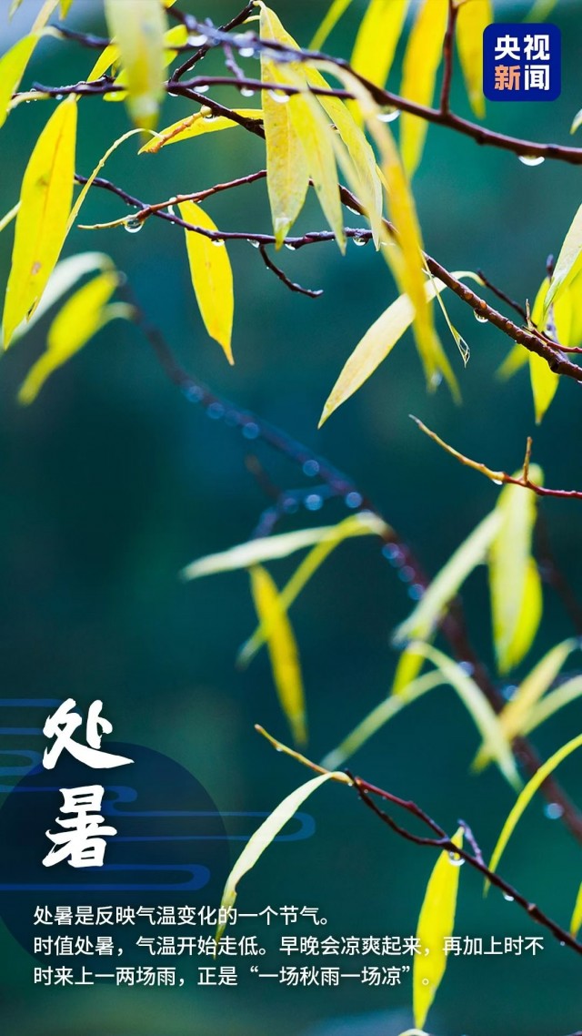 胡楚琪2025年的早安朋友圈合集mmexport1756638525987.jpg