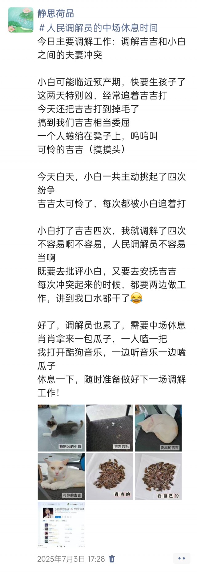 公司的小猫们img_20250731_174049.jpg