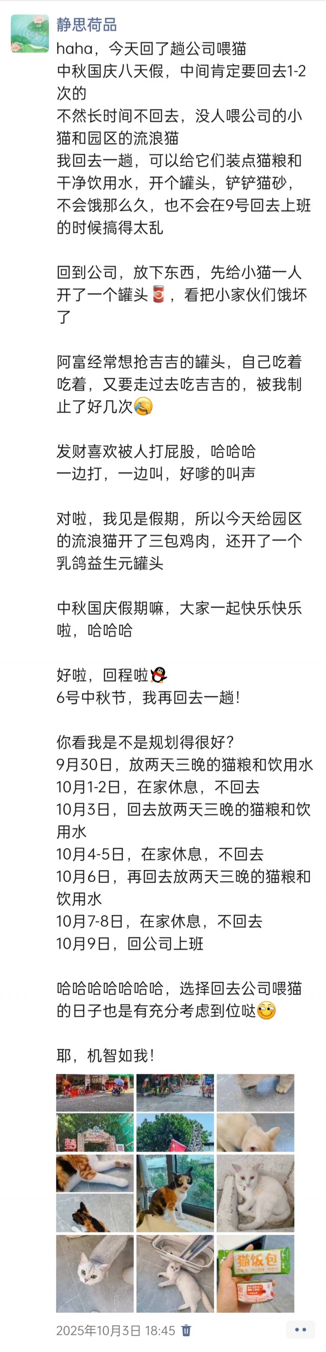 公司的小猫们img_20251126_153053.jpg