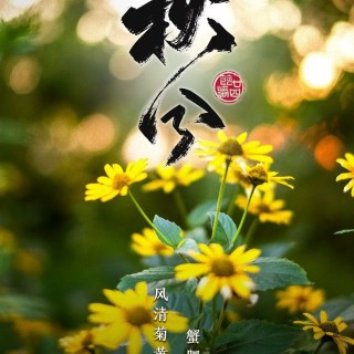胡楚琪2025年的早安朋友圈合集mmexport1759041858904.jpg