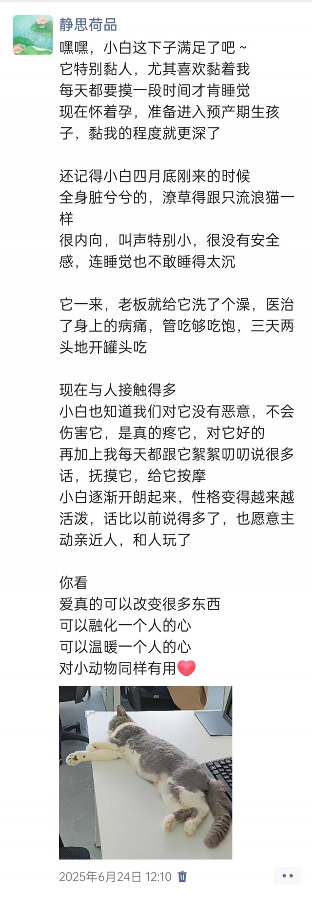 公司的小猫们img_20250731_113129.jpg