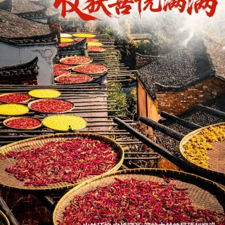 胡楚琪2025年的早安朋友圈合集mmexport1760431565463.jpg
