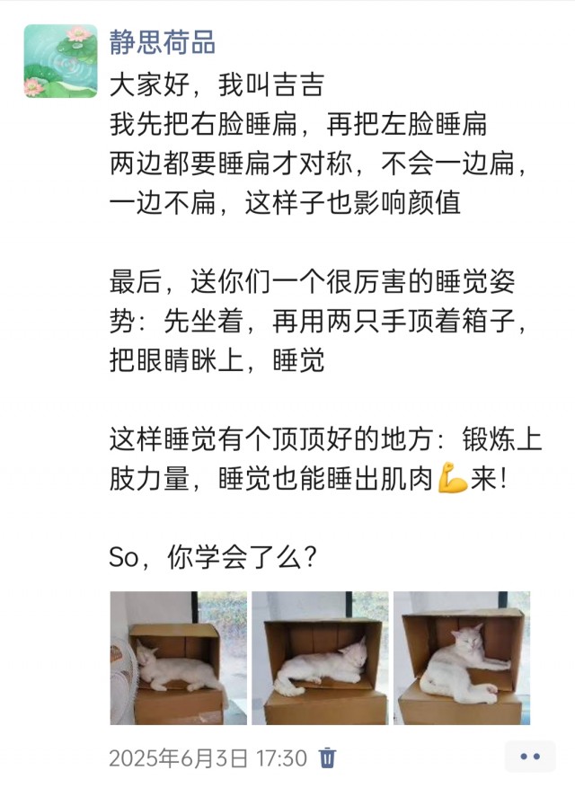 公司的小猫们img_20250731_111556.jpg