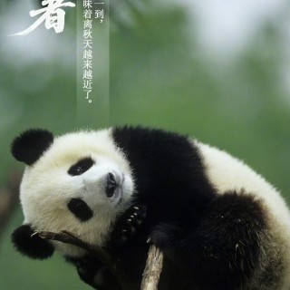 胡楚琪2025年的早安朋友圈合集mmexport1753543019859.jpg