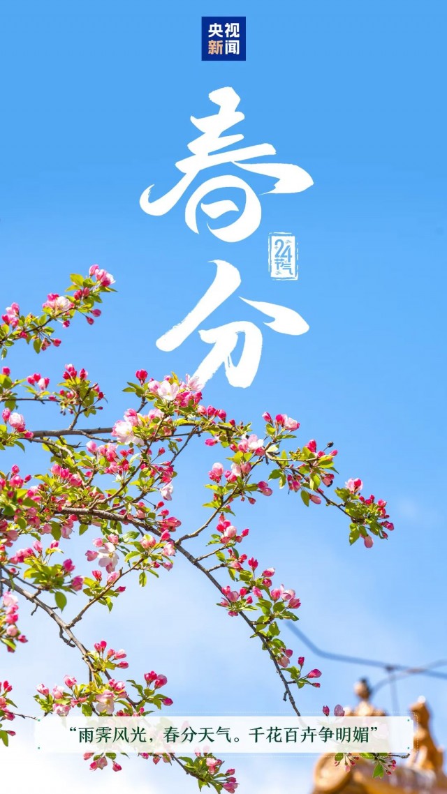 胡楚琪2026年的早安朋友圈合集mmexport1783156043774.jpg
