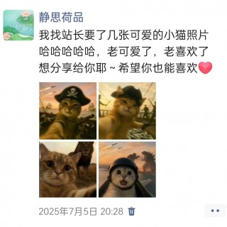 2025年发的与站长有关的朋友圈img_20250726_234034.jpg