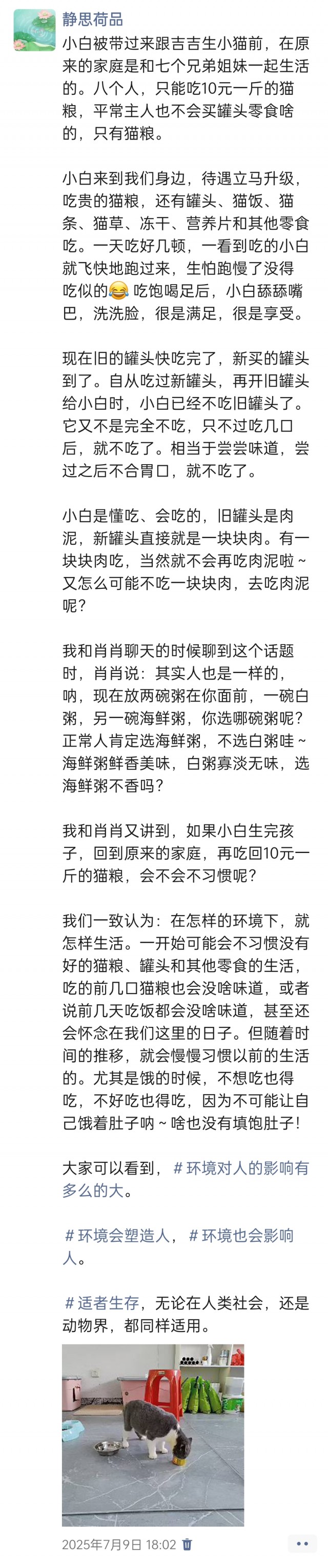 公司的小猫们img_20250731_174303.jpg