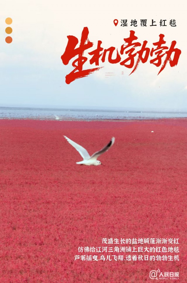 胡楚琪2025年的早安朋友圈合集mmexport1760431554303.jpg