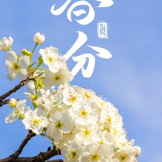 胡楚琪2026年的早安朋友圈合集mmexport1783156039021.jpg