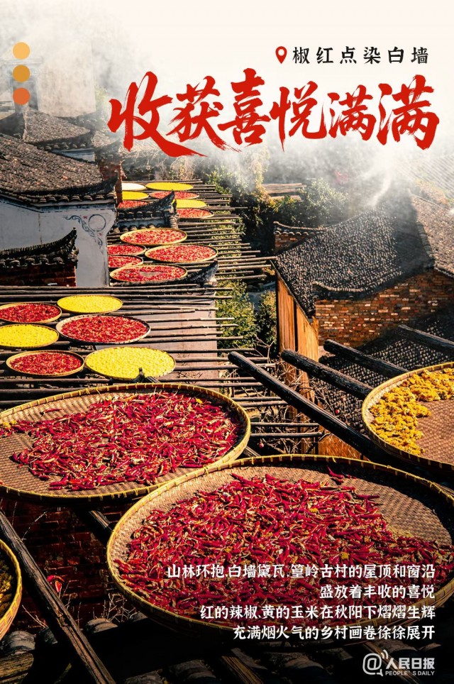 胡楚琪2025年的早安朋友圈合集mmexport1760431565463.jpg