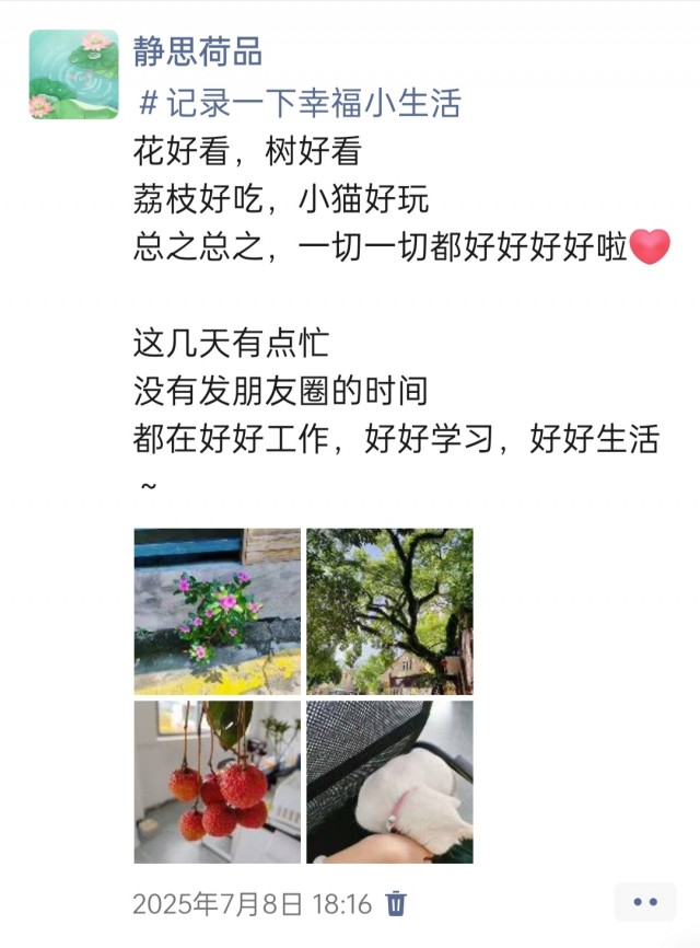 公司的小猫们img_20250731_174215.jpg