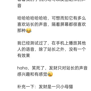 公司的小猫们img_20250731_111819.jpg