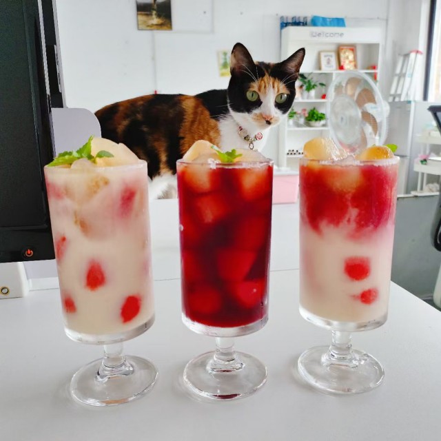公司的小猫们mmexport1753932214428.jpg