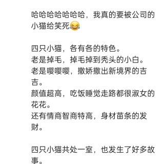 公司的小猫们img_20250731_112829.jpg