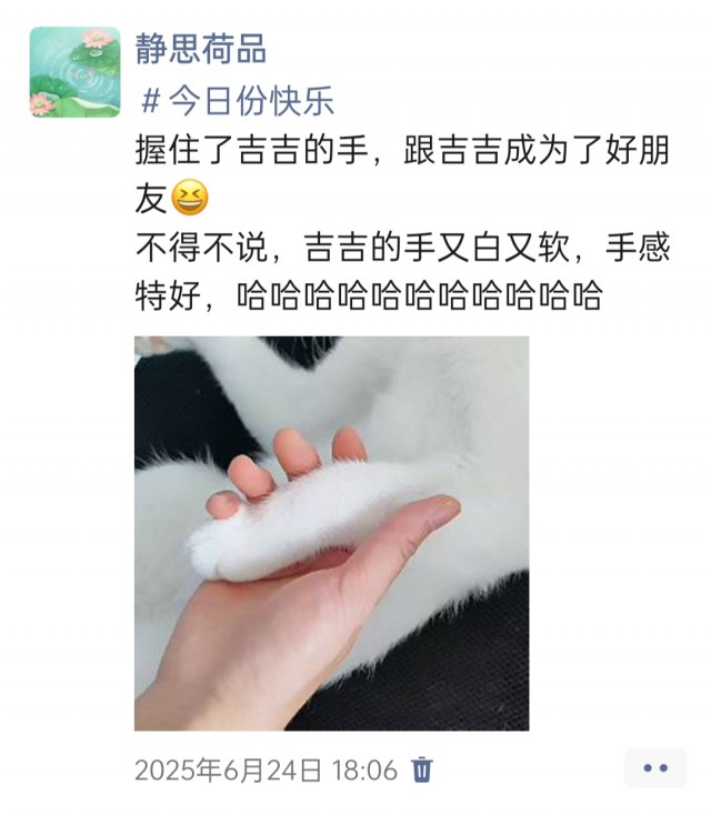 公司的小猫们img_20250731_113300.jpg