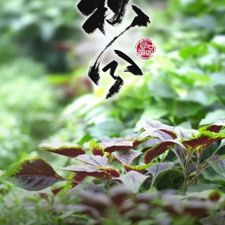 胡楚琪2025年的早安朋友圈合集mmexport1759041868117.jpg