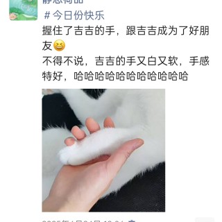 公司的小猫们img_20250731_113300.jpg