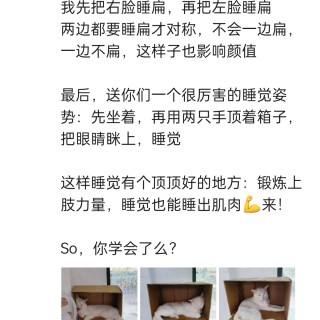 公司的小猫们img_20250731_111556.jpg