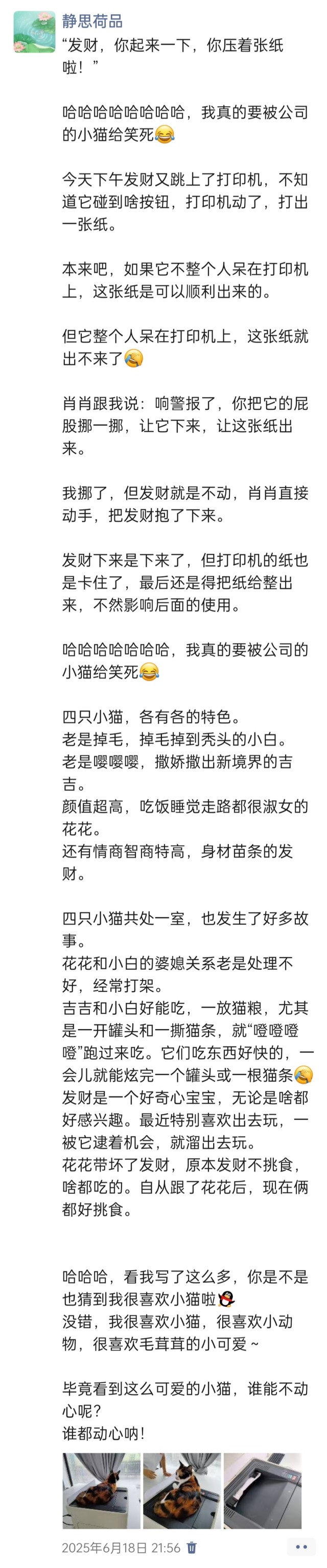 公司的小猫们img_20250731_112829.jpg