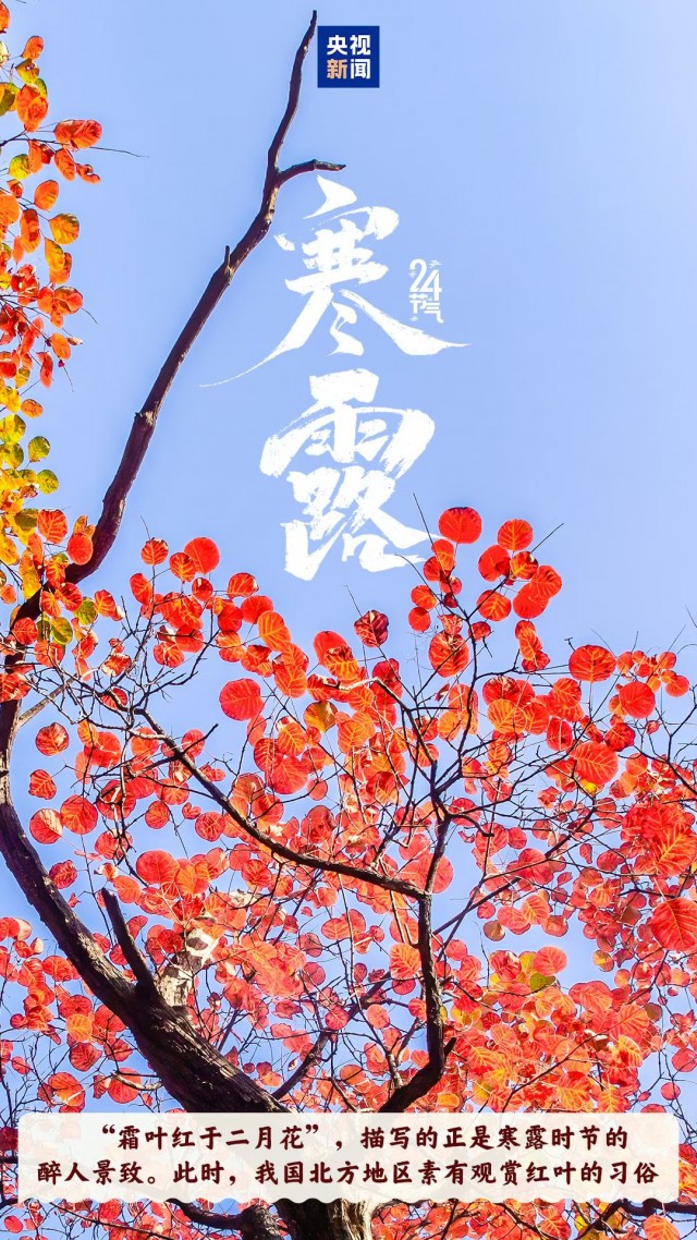 胡楚琪2025年的早安朋友圈合集mmexport1760431835759.jpg