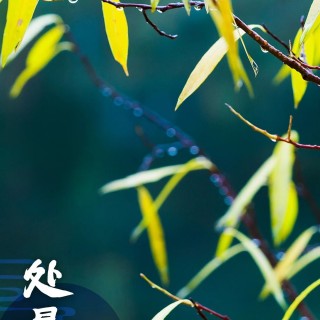胡楚琪2025年的早安朋友圈合集mmexport1756638525987.jpg