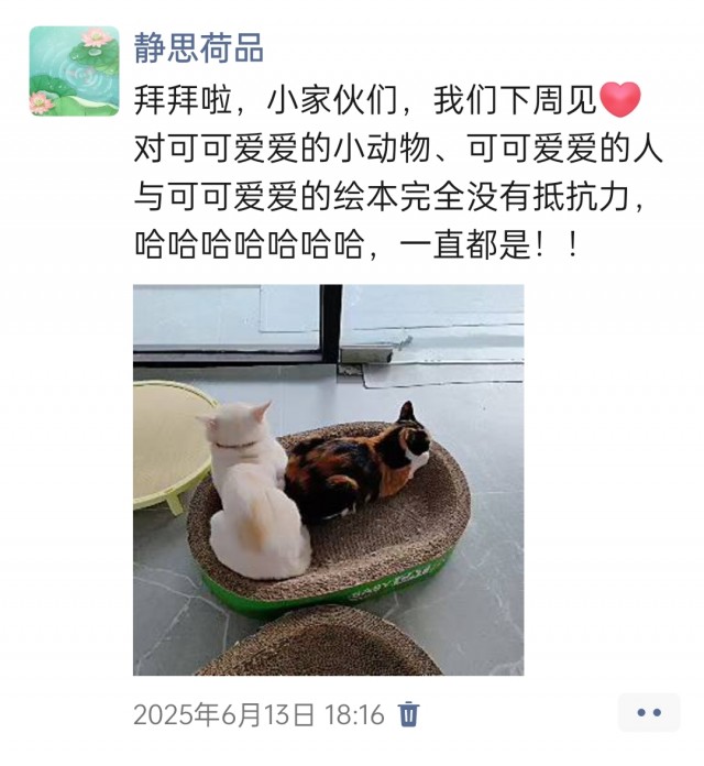 公司的小猫们img_20250731_111958.jpg