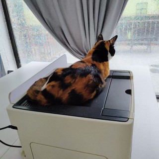 公司的小猫们mmexport1753932477665.jpg
