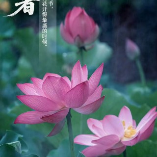 胡楚琪2025年的早安朋友圈合集mmexport1753543013447.jpg