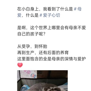 公司的小猫们img_20250731_174531.jpg