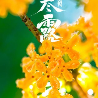 胡楚琪2025年的早安朋友圈合集mmexport1760431829144.jpg