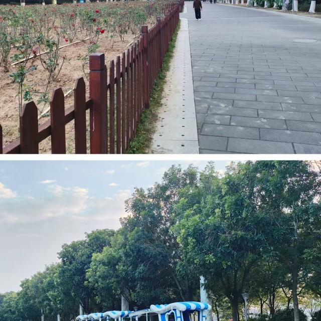 真想邀请你来肇庆走一走，逛一逛，看看这湖光山色、落日余晖