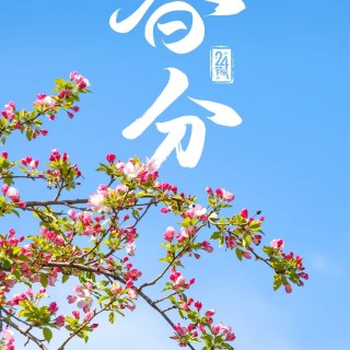 胡楚琪2026年的早安朋友圈合集mmexport1783156043774.jpg