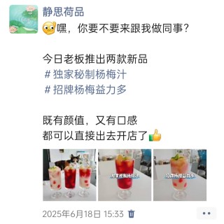 公司的小猫们img_20250731_112345.jpg