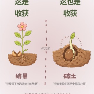 生活不一定意味着获得结果。img_20261008_215438.jpg