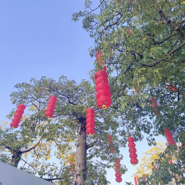 下午打扫完家里的卫生，出门溜达了一圈mmexport1791722015965.jpg
