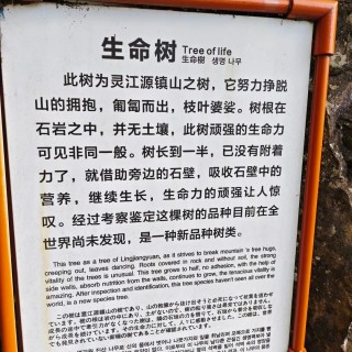 胡楚琪2026年的早安朋友圈合集mmexport1787014452020.jpg