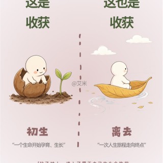 生活不一定意味着获得结果。img_20261008_215845.jpg