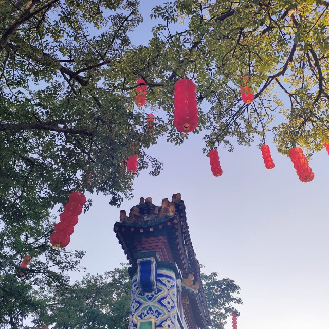 下午打扫完家里的卫生，出门溜达了一圈mmexport1791722020098.jpg