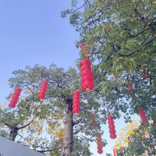 下午打扫完家里的卫生，出门溜达了一圈mmexport1791722015965.jpg
