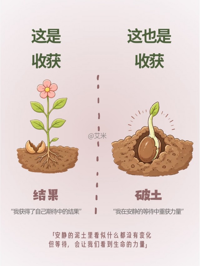 生活不一定意味着获得结果。img_20261008_215438.jpg