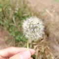 延萧