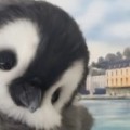 ！！