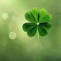 luckyClover