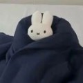 是倩倩吖