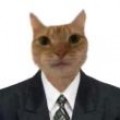 猫头先生