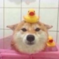 盐水
